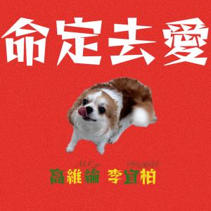Listen to 命定去爱 song with lyrics from 高维纶 M.Kao