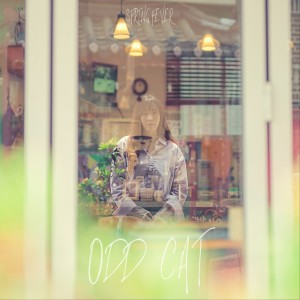 อัลบัม 봄앓이 (Spring sickness) ศิลปิน ODD-CAT (오드캣)