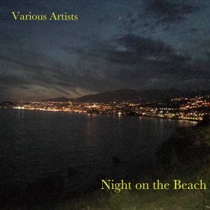 Various Artists的专辑Night on the Beach