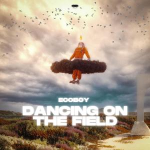 Listen to Dancing on the Field song with lyrics from Ecoboy