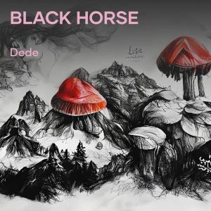 Album Black Horse from Dede