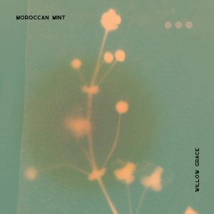 Willow Grace的專輯Moroccan Mint