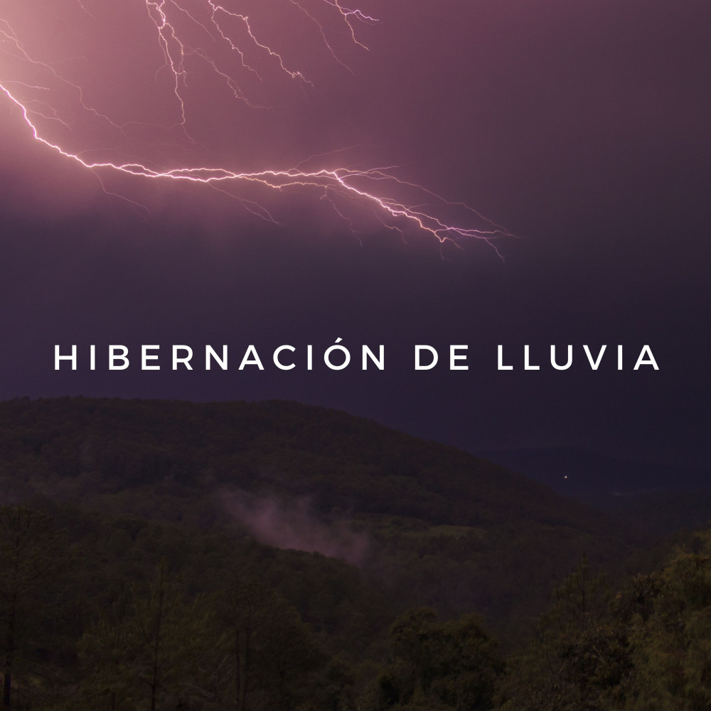 Canción Tranquila Para Las Horas Brujas