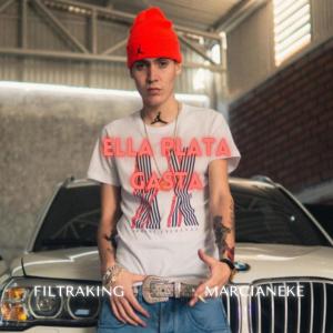 Listen to Ella Plata Gasta (feat. Marcianekee) song with lyrics from FiltraKing