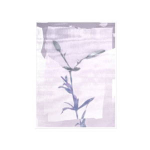 收聽Wet的It's All in Vain (Demo Taped Remix)歌詞歌曲