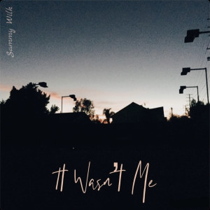 Sammy Wilk的專輯It Wasn't Me (Explicit)