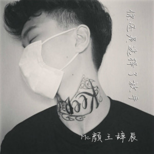 Album 你还是选择了放手 from MC颜王辞辰