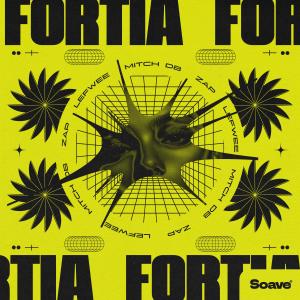 ดาวน์โหลดและฟังเพลง Fortia พร้อมเนื้อเพลงจาก Mitch db