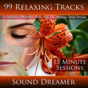 ดาวน์โหลดและฟังเพลง Campfire and Birds - 15 Minute Session พร้อมเนื้อเพลงจาก Sound Dreamer