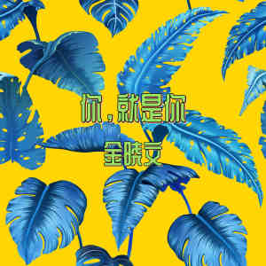 ดาวน์โหลดและฟังเพลง 你，就是你 พร้อมเนื้อเพลงจาก 金晓文