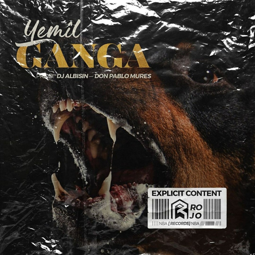 Ganga (Remix) (Explicit)