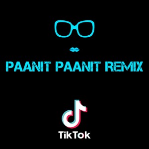 收听Dj TikTok Indonesia Viral的Paanit Paanit Remix歌词歌曲