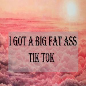 收听Tik Tok的I Got A Big Fat Ass Tik Tok歌词歌曲