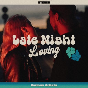 Album Late Night Loving from Various