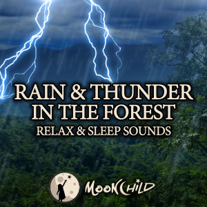 Rain and Thunder in the Forest dari MoonChild Relax Sleep ASMR