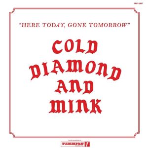 收聽Cold Diamond & Mink的Remember Me (Instrumental)歌詞歌曲