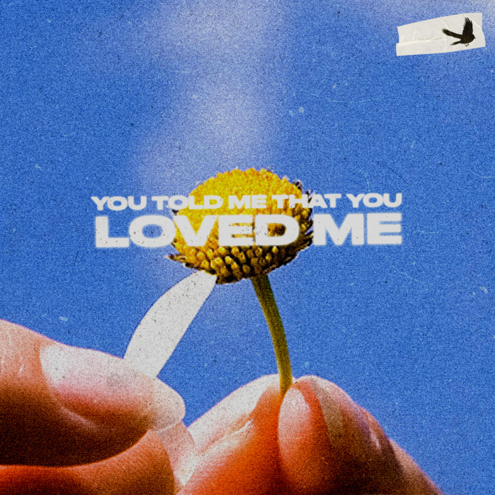 You Told Me That You Loved Me