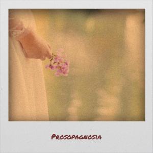 อัลบัม Prosopagnosia ศิลปิน Various