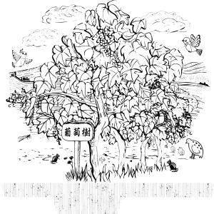 收听郑信盛的点亮歌词歌曲