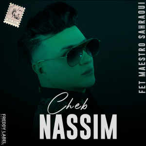 Listen to Ghadi Naweli Mahboul song with lyrics from Cheb Nassim