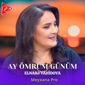 Album Ay Ömrüm Günüm from Meyxana Pro
