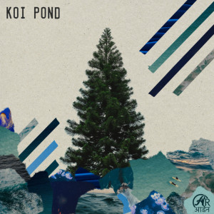 Album koi pond from 
