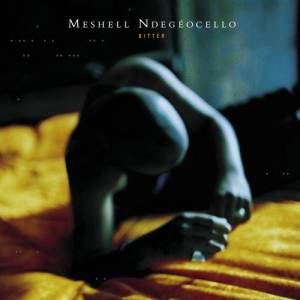 ดาวน์โหลดและฟังเพลง Bitter (Album Version) พร้อมเนื้อเพลงจาก MeShell Ndegeocello