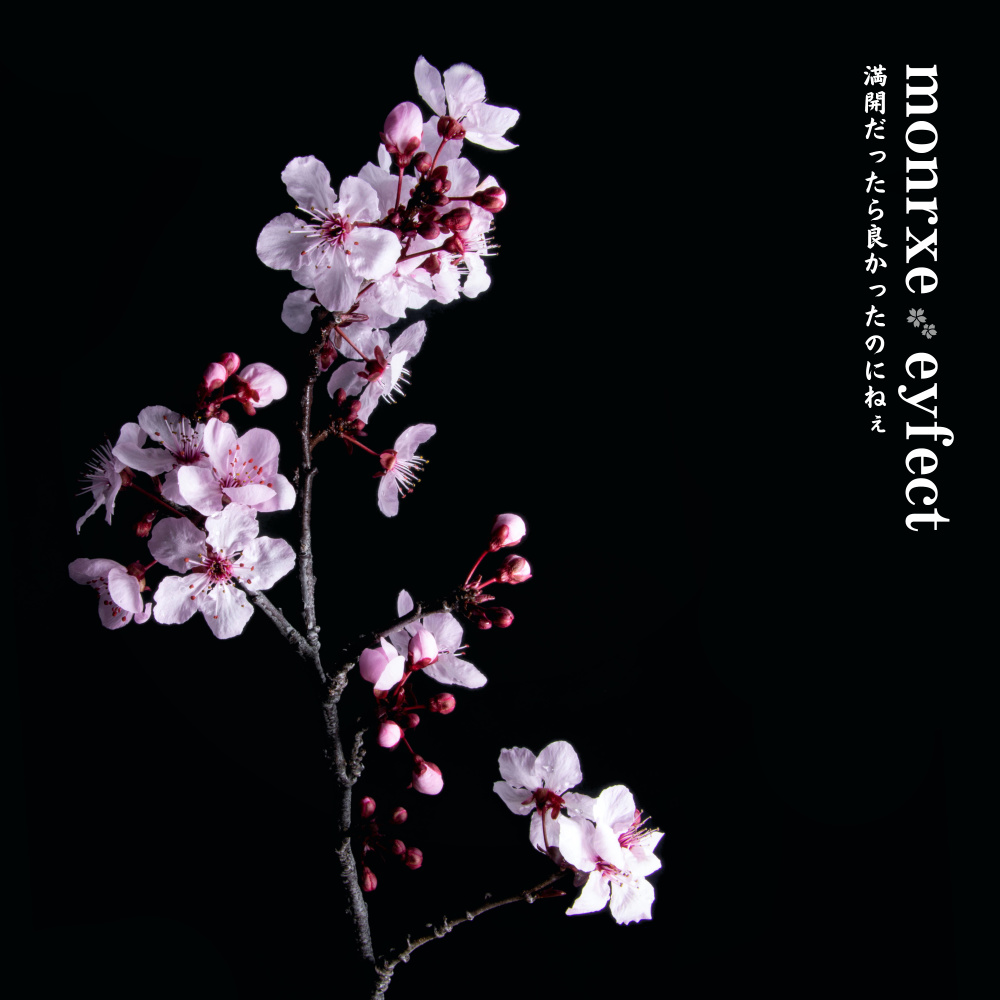 Blossom