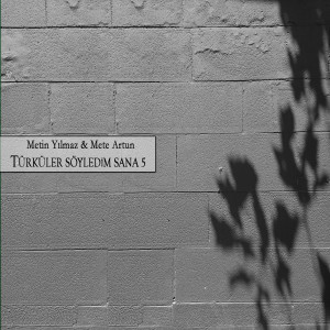 Listen to Kırmızı Gül Demet Demet song with lyrics from Metin Yilmaz