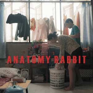 Anatomy Rabbit的專輯ขอให้โลกนี้ใจดีกับเธอ