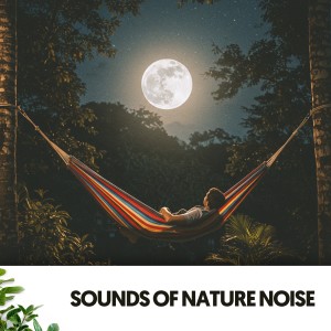 Ruido Blanco Hart的專輯Sounds of Nature Noise: Melodies from the Sky