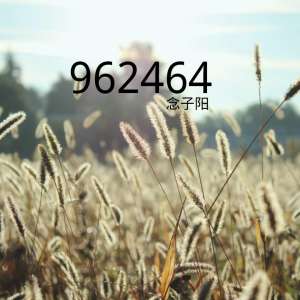 收聽念子陽的962464歌詞歌曲