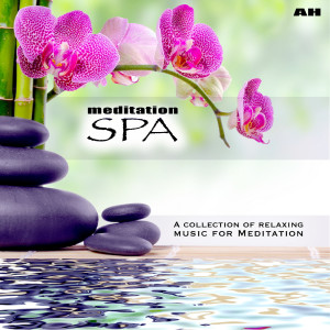 收听Meditation Spa的Meditation for Healing歌词歌曲