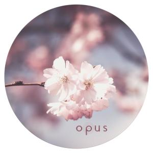 收聽CAlinie的Miss Alien歌詞歌曲