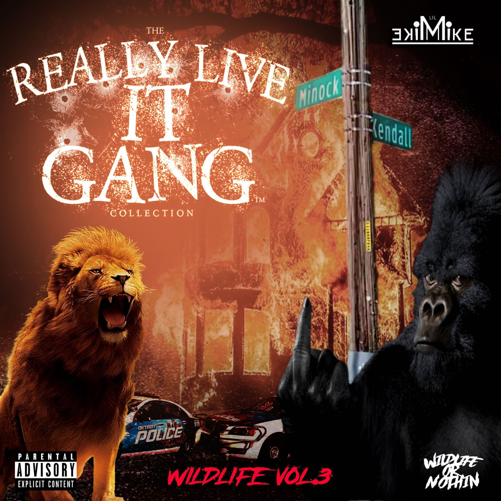 100 (Explicit)