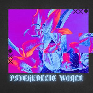Uzay Aktan的專輯Psychedelic World