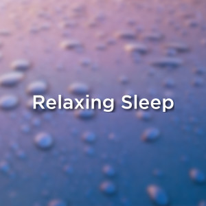 Listen to Wind And Rain song with lyrics from Rain Sounds
