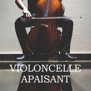 Various的專輯Violoncelle Apaisant (Musique Classique)
