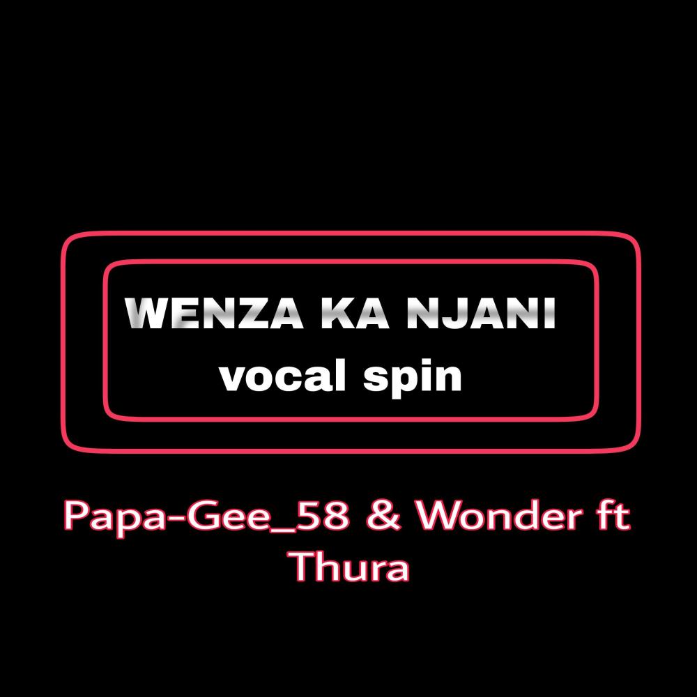 Wenza ka njani (vocal spin) (feat. Wonder & Thura)
