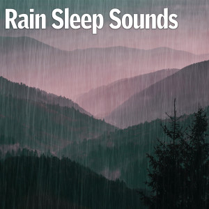 Dengarkan Rain for Sleep lagu dari Rain Sleep Sounds dengan lirik