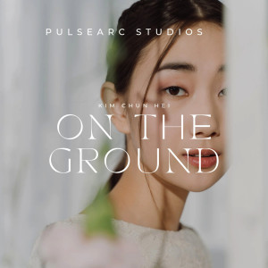 PulseArc的專輯On the Ground