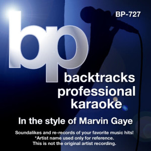ดาวน์โหลดและฟังเพลง Pride and Joy (Karaoke track With Background Vocal)[In the style of Marvin Gaye] พร้อมเนื้อเพลงจาก Backtrack Professional Karaoke Band