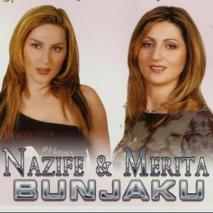 Album Hyn ne valle o moj Kosovare from 