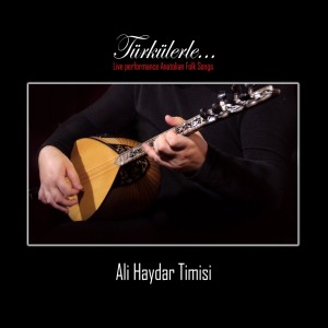 收聽Ali Haydar Timisi的Seyyah Olup Şu Alemi Gezerim (Canlı Performans)歌詞歌曲