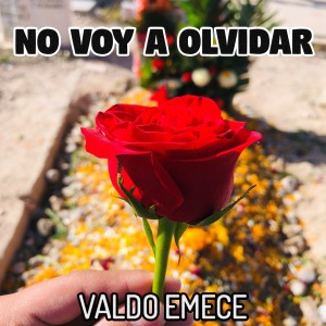Album No Voy a Olvidar from Valdo Emece