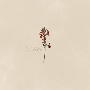 Thomas LaVine的專輯Wildfire