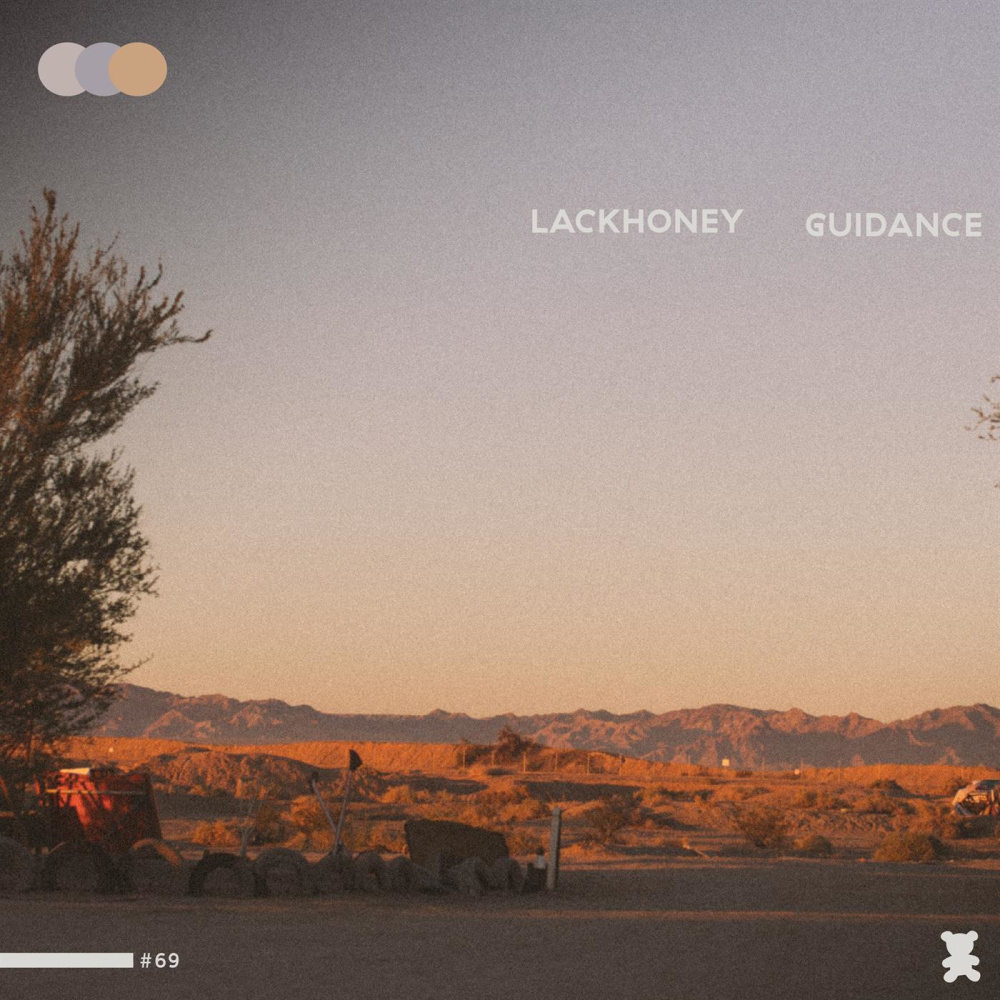 Guidance (Explicit)