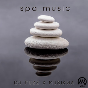 收听DJ Fuzz的Fresh歌词歌曲
