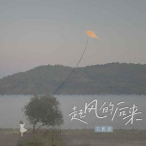 收聽王忻辰的起風的後來歌詞歌曲