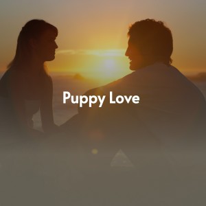 Listen to Solo Tu Tuviste La Culpa song with lyrics from Raúl Planas